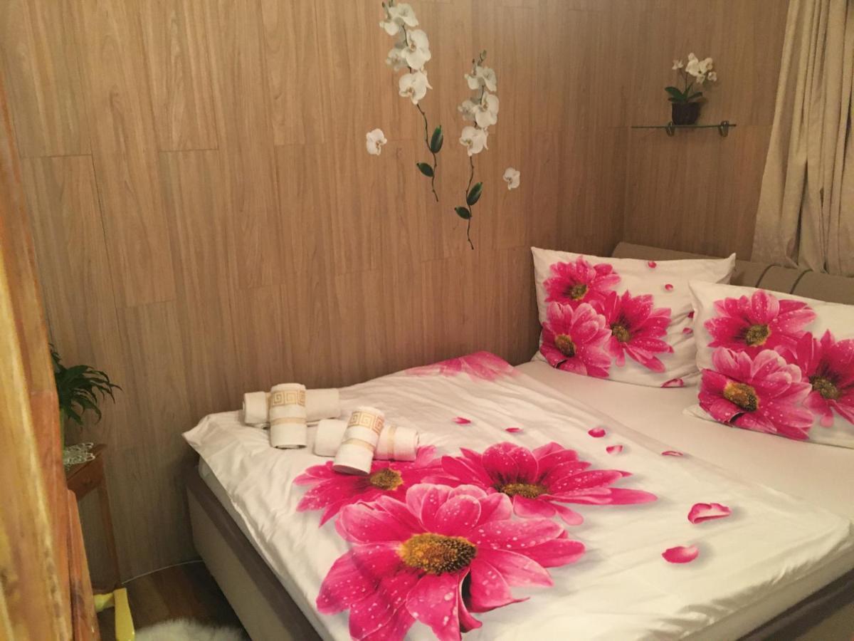 Apartment Hlinska Ceske Budejovice Eksteriør billede