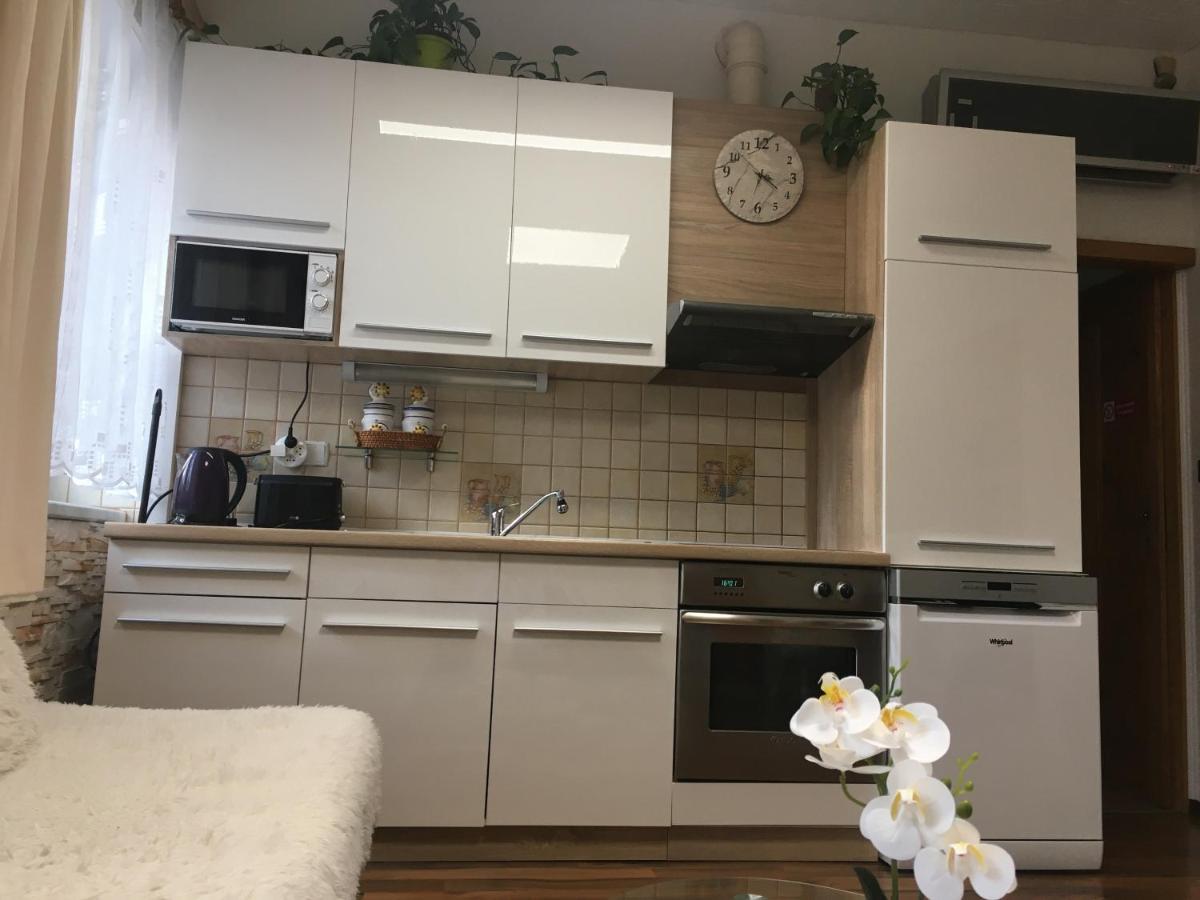Apartment Hlinska Ceske Budejovice Eksteriør billede