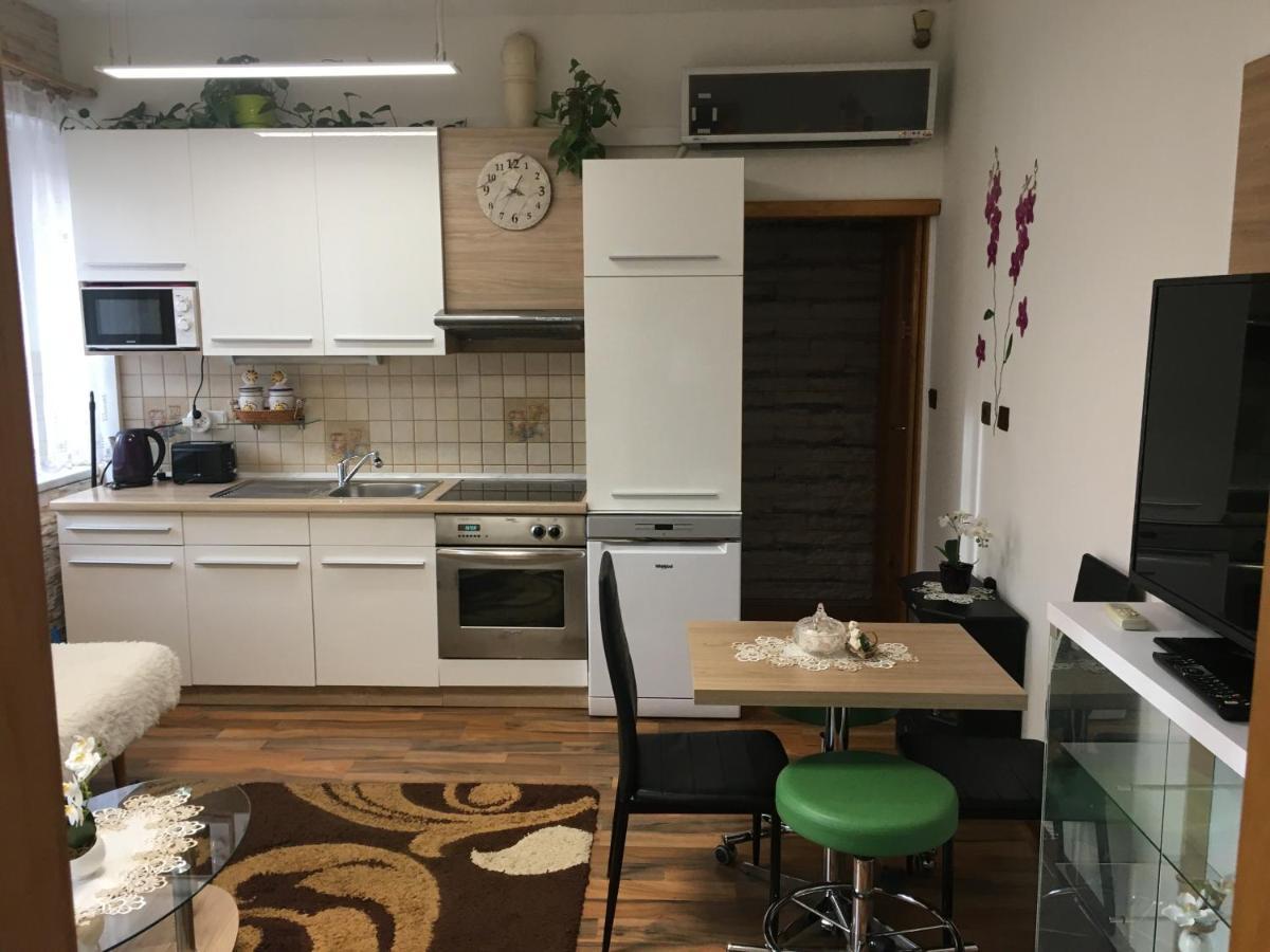 Apartment Hlinska Ceske Budejovice Eksteriør billede