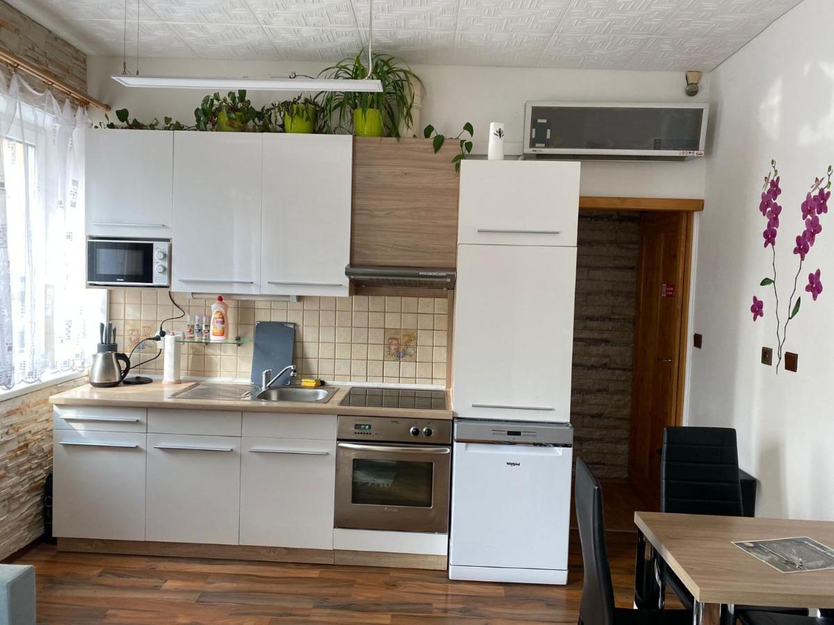 Apartment Hlinska Ceske Budejovice Eksteriør billede