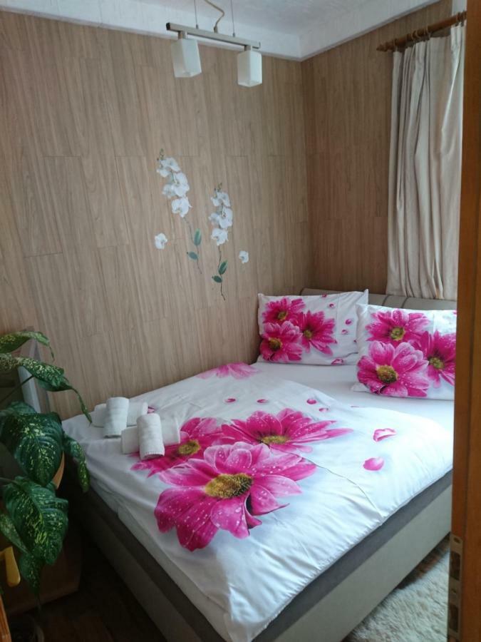 Apartment Hlinska Ceske Budejovice Eksteriør billede